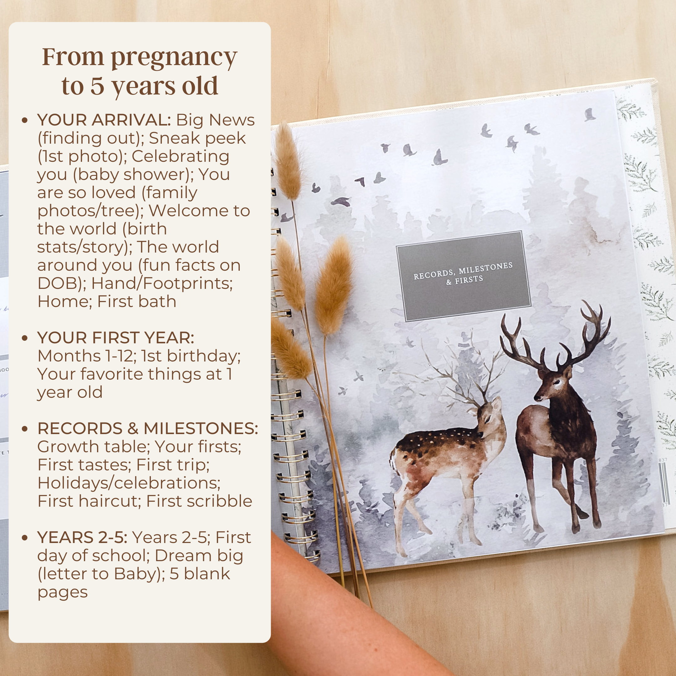Wild - Baby Record Book - Peachly Australia